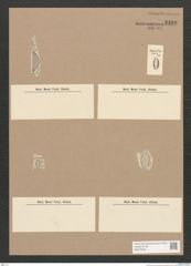 Diatomeae indet. Zeichnungen Sammlung Grunow Nr. 3326 (NHMW-BOT-W0370829)